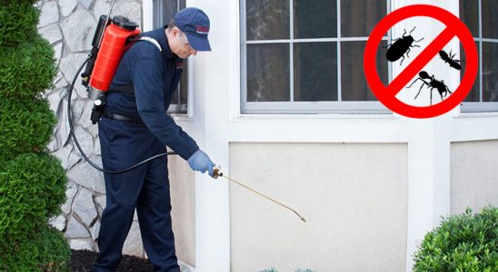 Yakutiye Kene İlaçlama böcek ilaçlama ve haşere kontrolü — ilaclama-tr.com